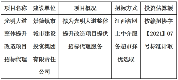 光明大道整體提升改造項目招標(biāo)代理計劃公告