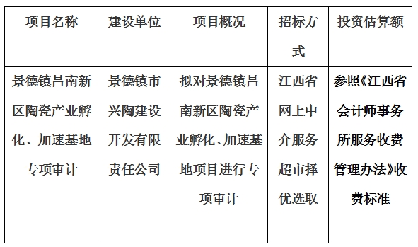 景德鎮(zhèn)市興陶建設(shè)開發(fā)有限責(zé)任公司加速基地及孵化基地專項(xiàng)審計(jì)項(xiàng)目計(jì)劃公告